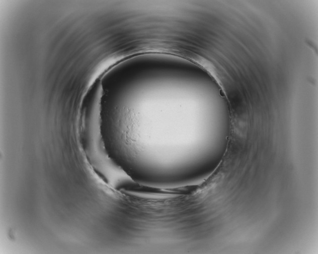 X0000096421147200801241311
