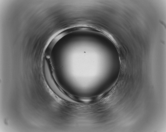 X0000096421148200801241311