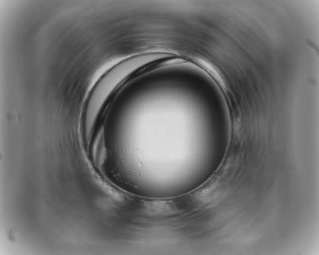 X0000096421149200801241311