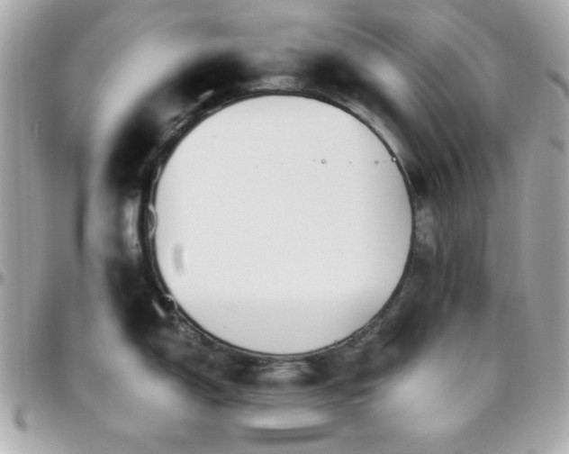 X0000096421150200801241311