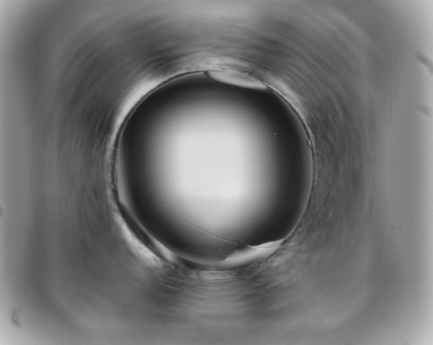 X0000096421152200801241311