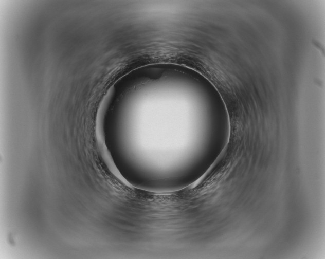 X0000096421153200801241311