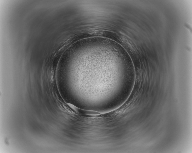 X0000096421154200801241311