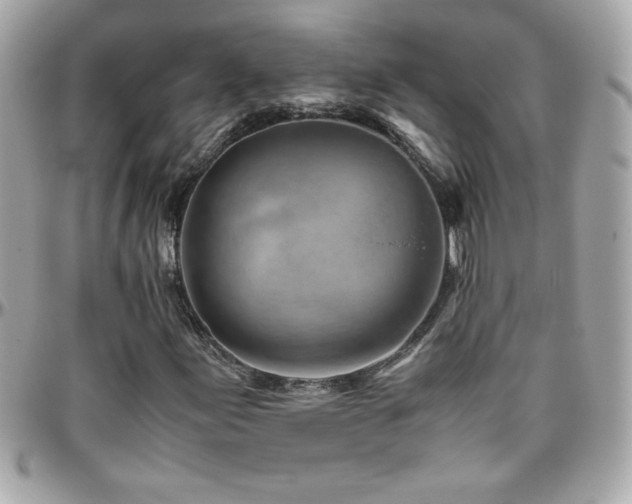 X0000096421155200801241311