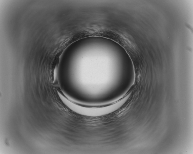 X0000096421156200801241311