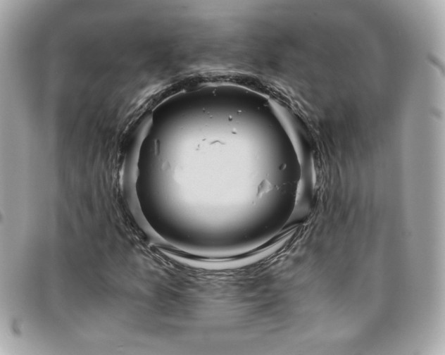 X0000096421157200801241311