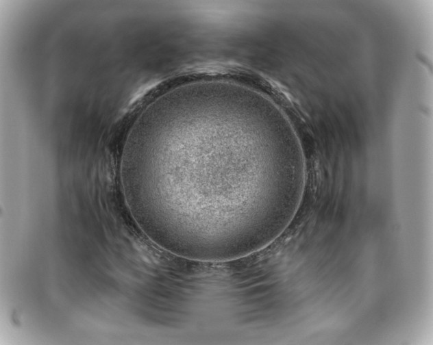 X0000096421158200801241311