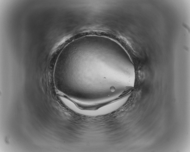X0000096421159200801241311