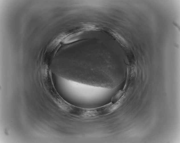 X0000096421161200801241311