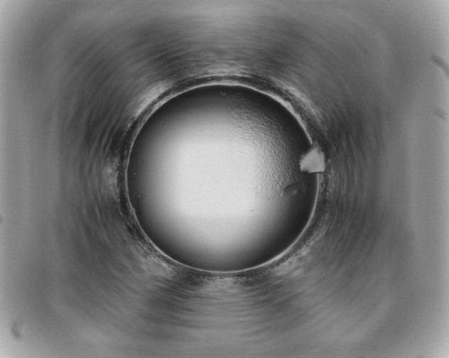 X0000096421162200801241311