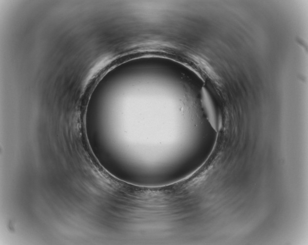 X0000096421164200801241311