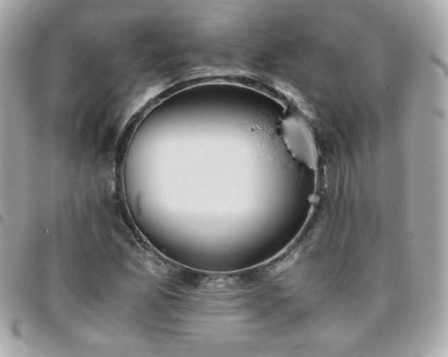 X0000096421165200801241311