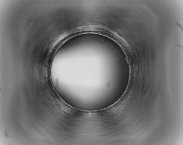 X0000096421166200801241311