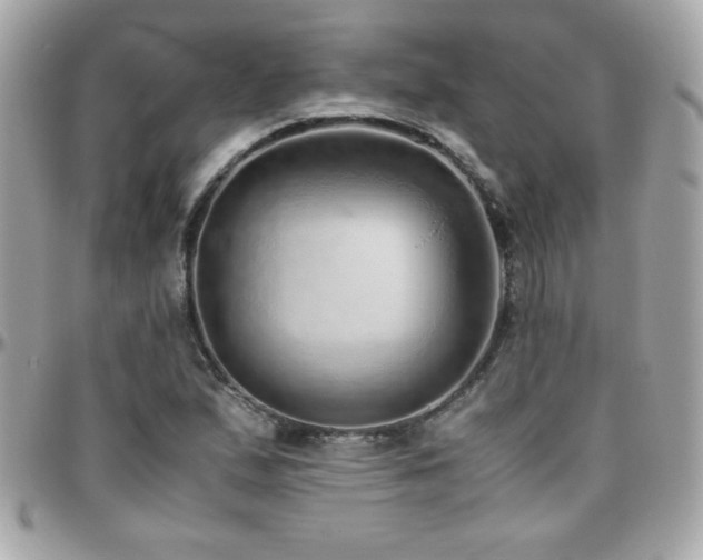 X0000096421167200801241311