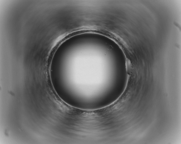 X0000096421168200801241311