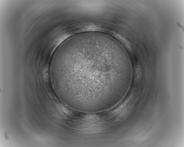 X0000096421170200801241311