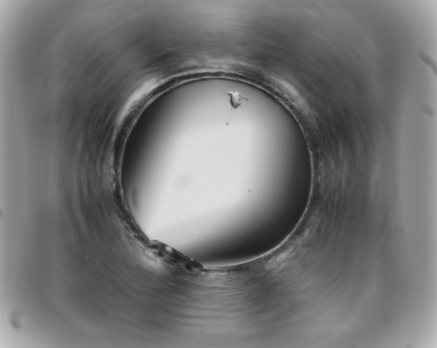 X0000096421172200801241311