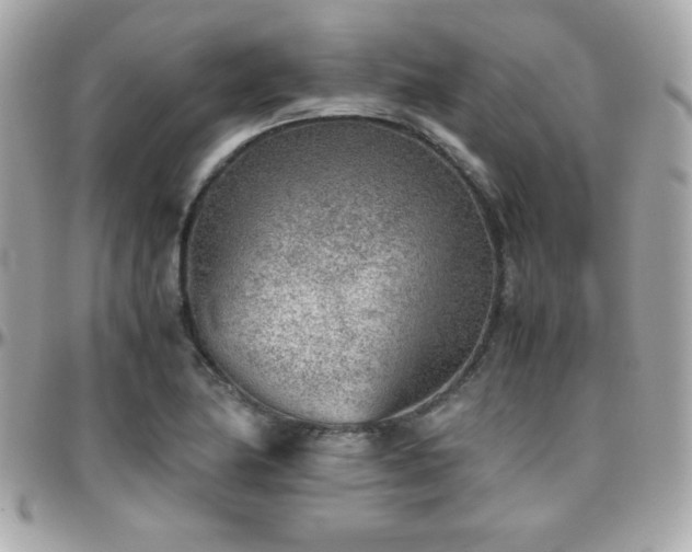 X0000096421174200801241311