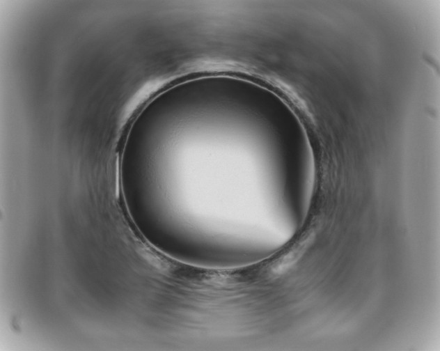 X0000096421175200801241311