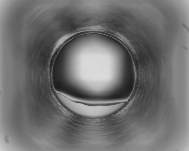 X0000096421176200801241311