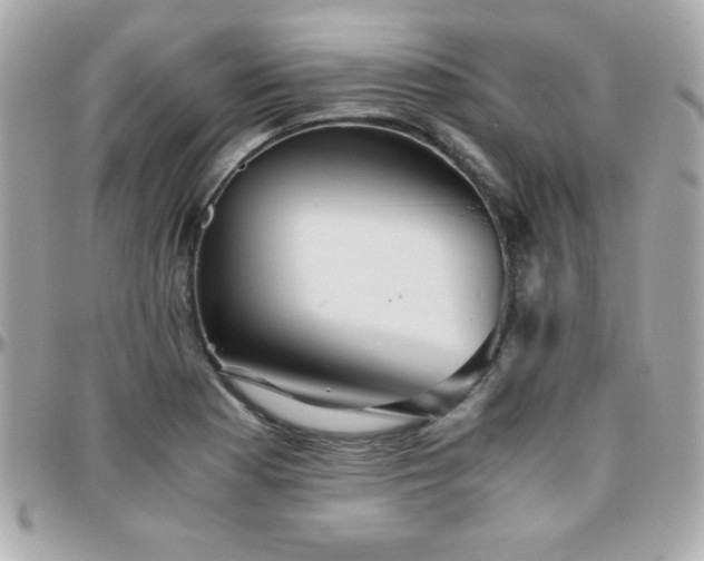 X0000096421177200801241311