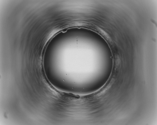 X0000096421178200801241310