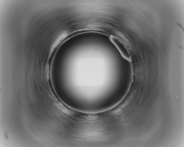 X0000096421180200801241310