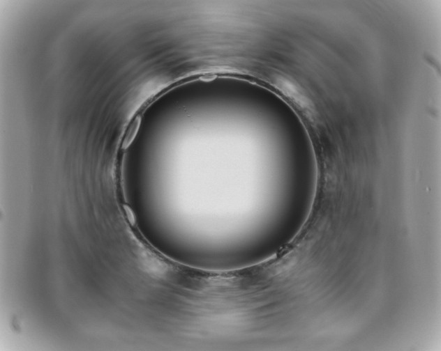 X0000096421181200801241310