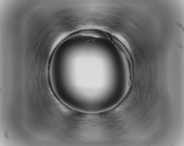 X0000096421183200801241310