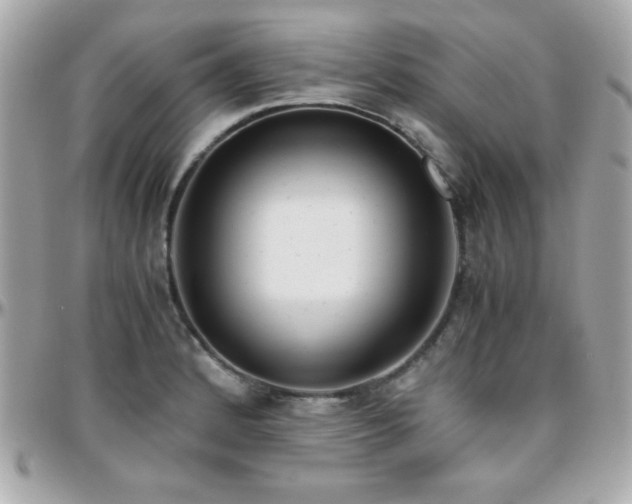 X0000096421184200801241310