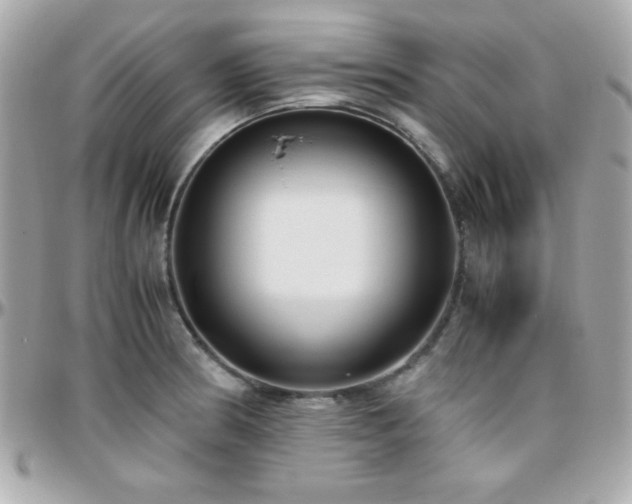X0000096421186200801241310