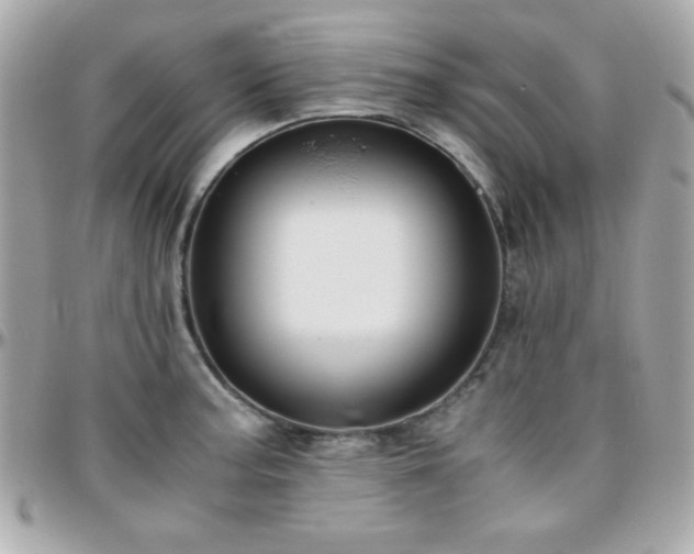 X0000096421187200801241310