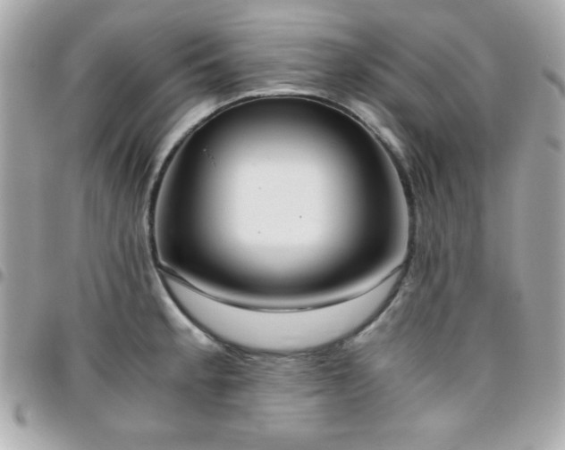 X0000096421189200801241310