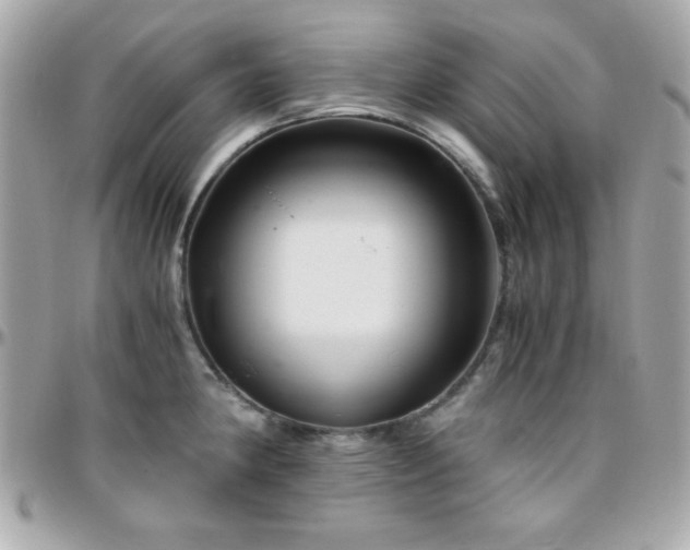 X0000096421190200801241310