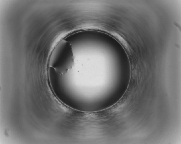 X0000096421191200801241310