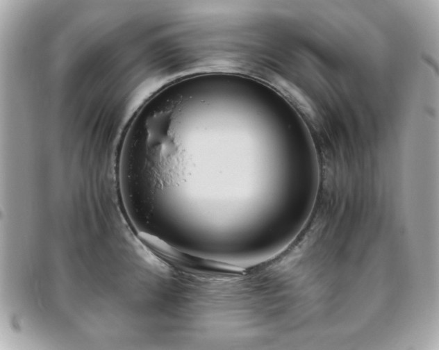 X0000096421192200801241310