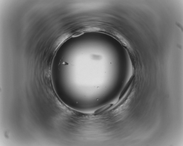 X0000096421193200801241310