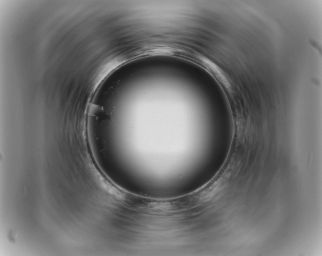 X0000096421194200801241310
