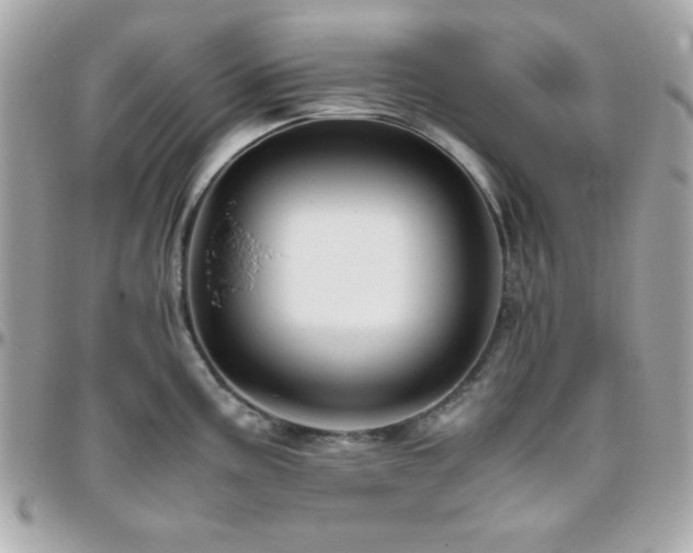 X0000096421195200801241310