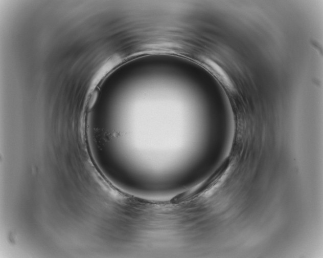 X0000096421196200801241310