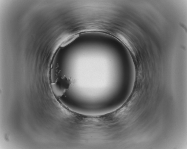 X0000096421197200801241310