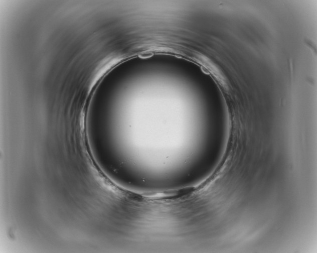 X0000096421198200801241310