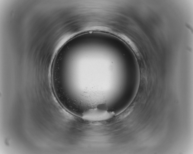 X0000096421199200801241310