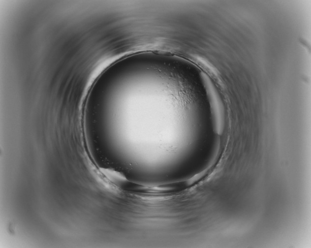 X0000096421200200801241310