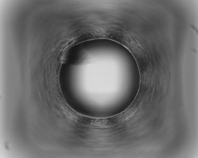 X0000096421201200801241310