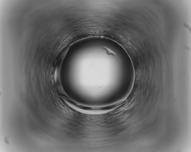 X0000096421202200801241310