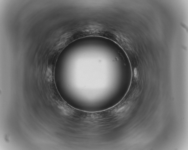 X0000096421203200801241310