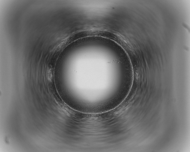 X0000096421204200801241310