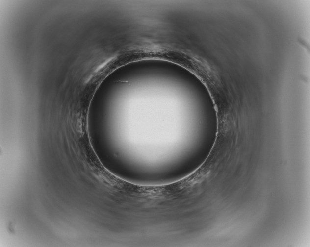 X0000096421205200801241310