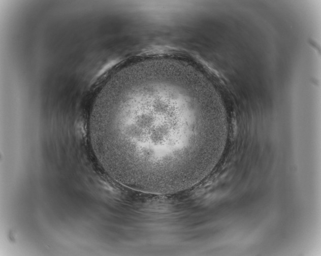 X0000096421206200801241310